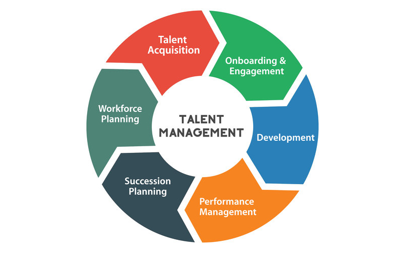 talent management là gì